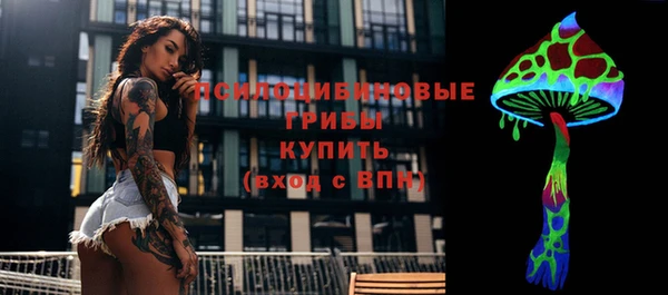 соль ск Липки