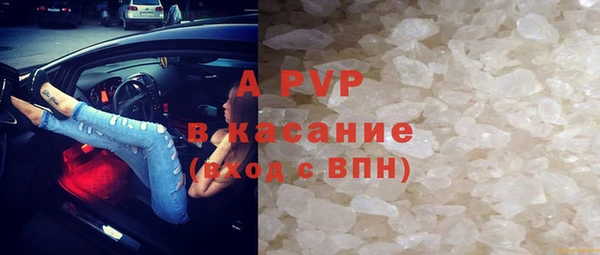 прущие грибы Лихославль