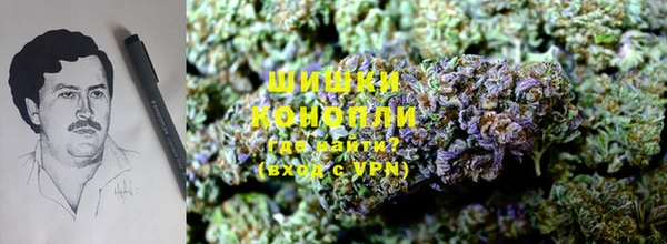 прущие грибы Лихославль