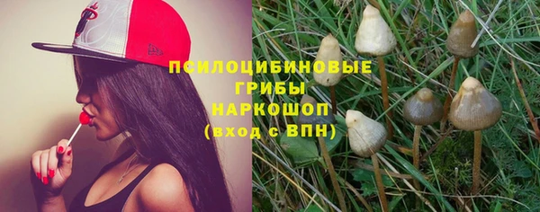 прущие грибы Лихославль
