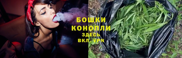соль ск Липки
