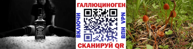 Псилоцибиновые грибы GOLDEN TEACHER  Темников 